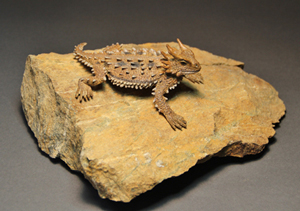 Desert Nomad (Horned Toad) by Michael Hart